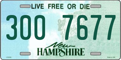 NH license plate 3007677