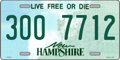 NH license plate 3007712