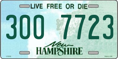 NH license plate 3007723