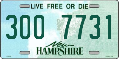 NH license plate 3007731