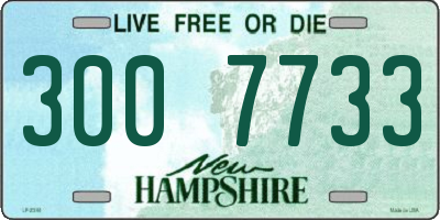 NH license plate 3007733