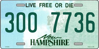 NH license plate 3007736