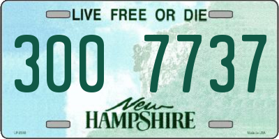 NH license plate 3007737