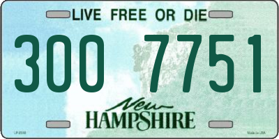 NH license plate 3007751