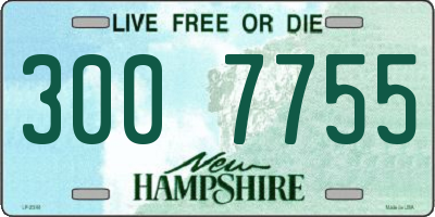 NH license plate 3007755