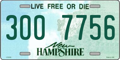 NH license plate 3007756