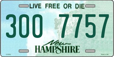 NH license plate 3007757