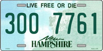 NH license plate 3007761