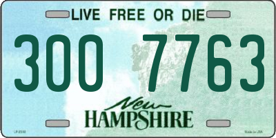 NH license plate 3007763