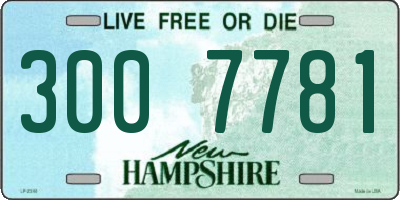 NH license plate 3007781