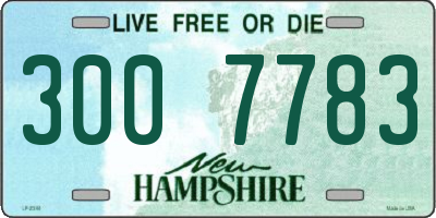NH license plate 3007783