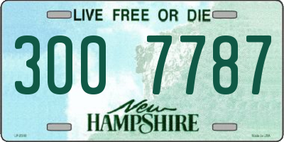 NH license plate 3007787