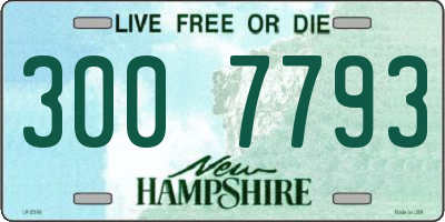 NH license plate 3007793