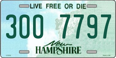 NH license plate 3007797