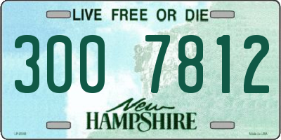 NH license plate 3007812