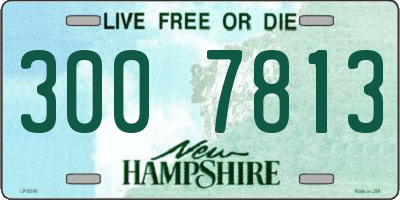 NH license plate 3007813