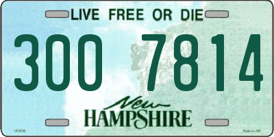 NH license plate 3007814
