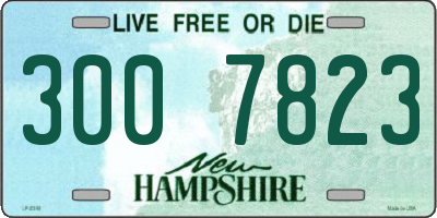 NH license plate 3007823