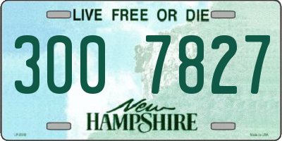 NH license plate 3007827