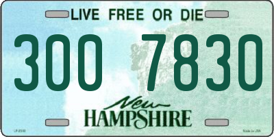 NH license plate 3007830