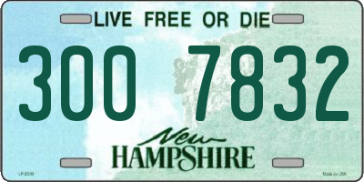 NH license plate 3007832
