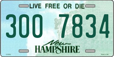 NH license plate 3007834