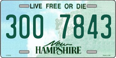 NH license plate 3007843