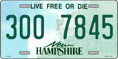 NH license plate 3007845
