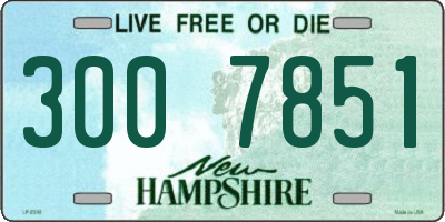 NH license plate 3007851