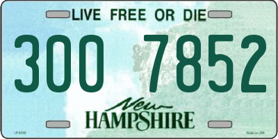 NH license plate 3007852