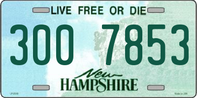 NH license plate 3007853