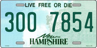 NH license plate 3007854