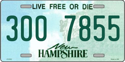 NH license plate 3007855