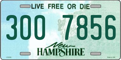 NH license plate 3007856