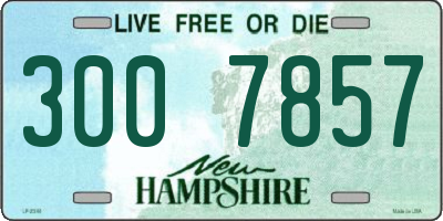 NH license plate 3007857