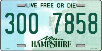 NH license plate 3007858