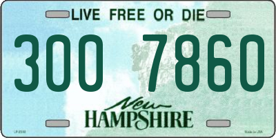 NH license plate 3007860