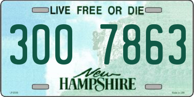 NH license plate 3007863