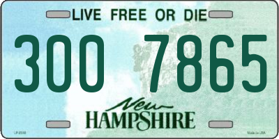 NH license plate 3007865