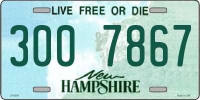 NH license plate 3007867