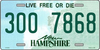 NH license plate 3007868