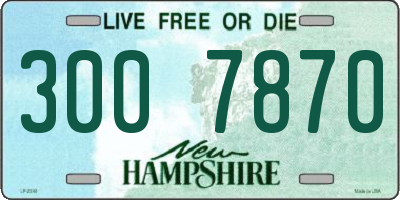 NH license plate 3007870