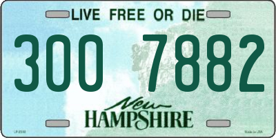 NH license plate 3007882