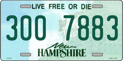 NH license plate 3007883