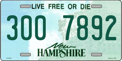 NH license plate 3007892