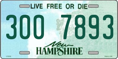 NH license plate 3007893