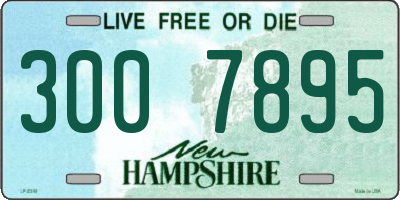 NH license plate 3007895