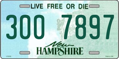 NH license plate 3007897