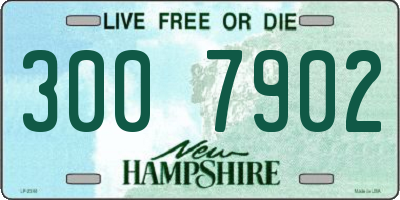 NH license plate 3007902