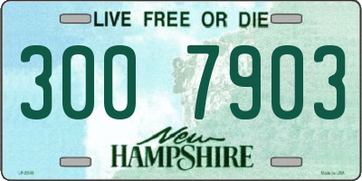 NH license plate 3007903